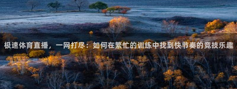 极速体育直播，一网打尽：如何在繁忙的训练中找到快节奏的竞技乐趣