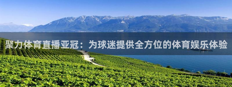 聚力体育直播亚冠：为球迷提供全方位的体育娱乐体验