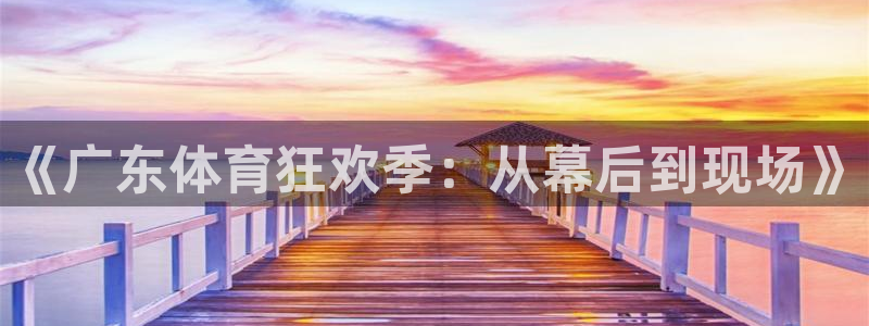 《广东体育狂欢季：从幕后到现场》