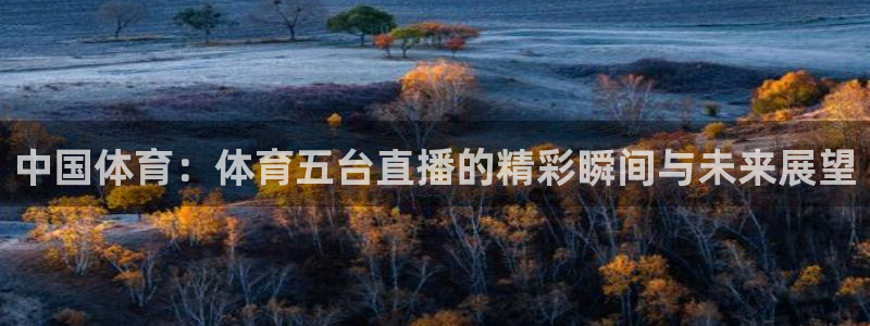 中国体育：体育五台直播的精彩瞬间与未来展望