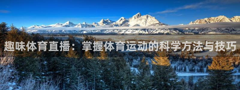 趣味体育直播：掌握体育运动的科学方法与技巧