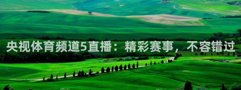 央视体育频道5直播：精彩赛事，不容错过