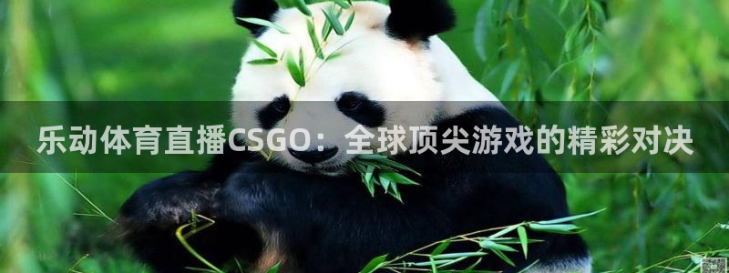 乐动体育直播CSGO：全球顶尖游戏的精彩对决
