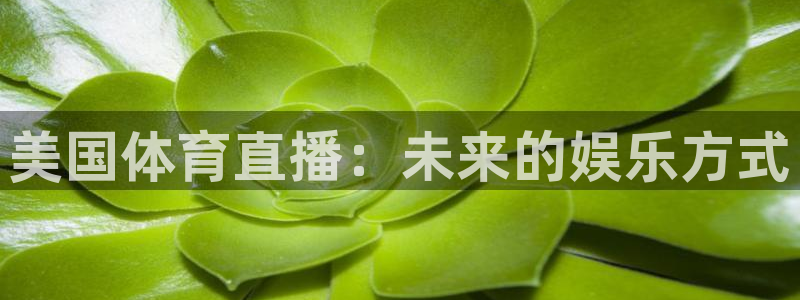 美国体育直播：未来的娱乐方式