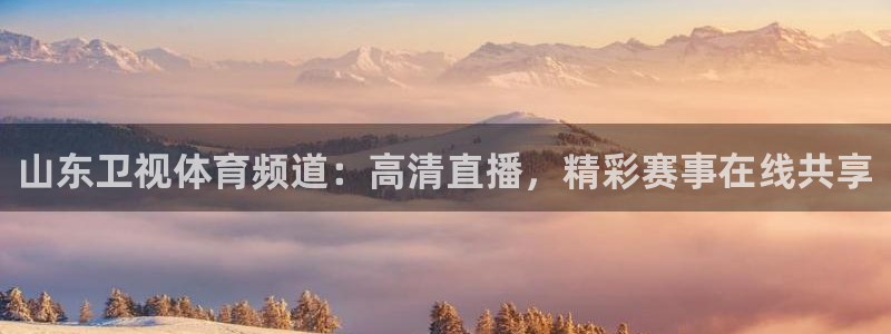 山东卫视体育频道：高清直播，精彩赛事在线共享