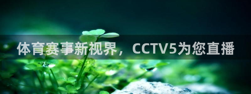 体育赛事新视界，CCTV5为您直播