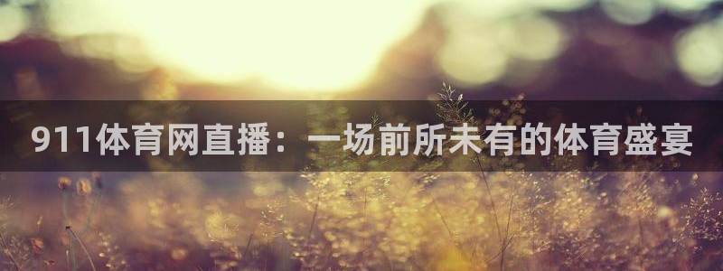 911体育网直播：一场前所未有的体育盛宴