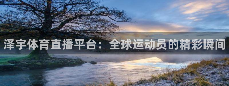 泽宇体育直播平台：全球运动员的精彩瞬间