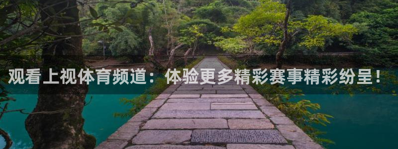 观看上视体育频道：体验更多精彩赛事精彩纷呈！